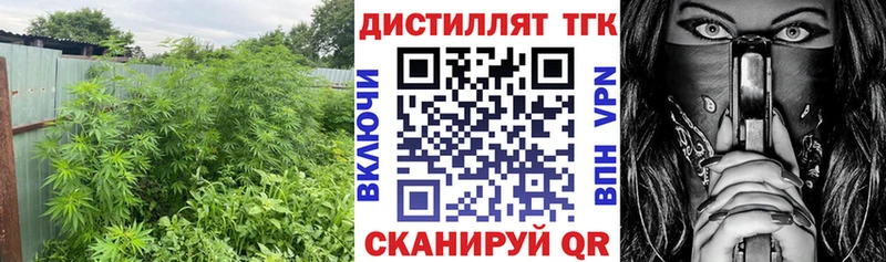 маркетплейс Telegram  Трубчевск  ТГК концентрат 