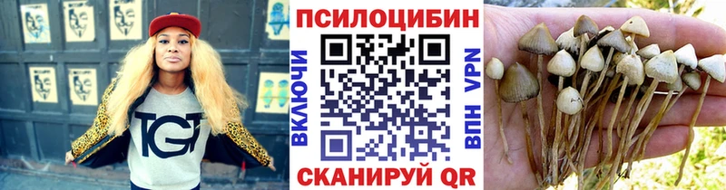 купить наркотики сайты  shop Telegram  Галлюциногенные грибы ЛСД  Трубчевск 